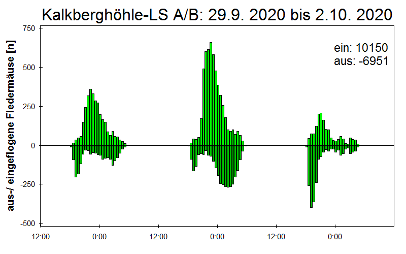 [Fledermaus] Lichtschranke: Segeberger Kalkberg (NABU Schleswig-Holstein)