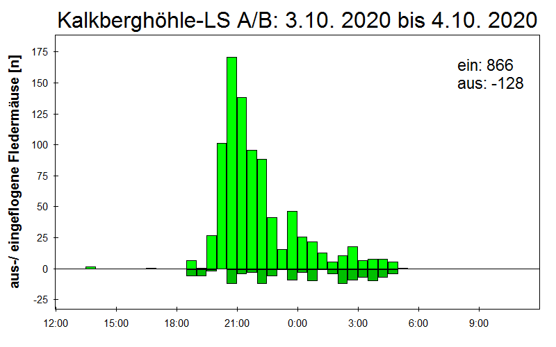 [Fledermaus] Lichtschranke: Segeberger Kalkberg (NABU Schleswig-Holstein)