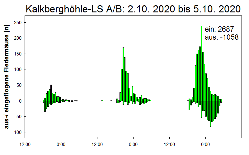[Fledermaus] Lichtschranke: Segeberger Kalkberg (NABU Schleswig-Holstein)