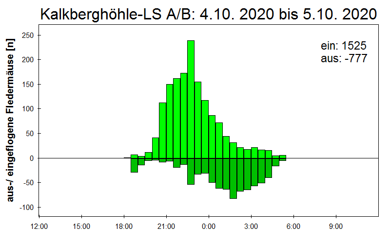 [Fledermaus] Lichtschranke: Segeberger Kalkberg (NABU Schleswig-Holstein)