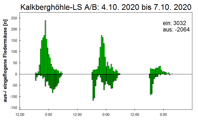 [Fledermaus] Lichtschranke: Segeberger Kalkberg (NABU Schleswig-Holstein)