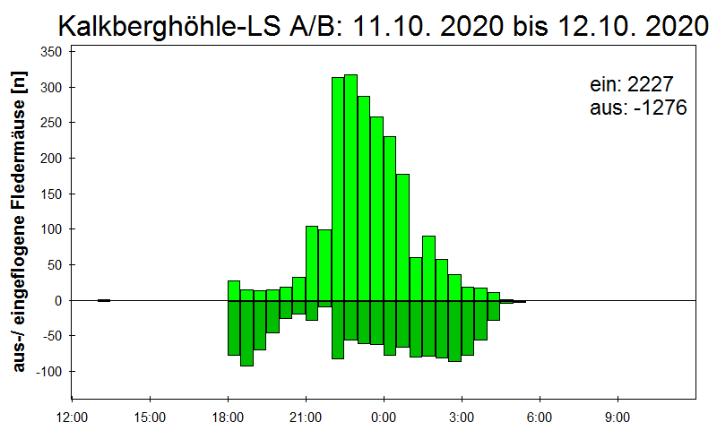 [Fledermaus] Lichtschranke: Segeberger Kalkberg (NABU Schleswig-Holstein)