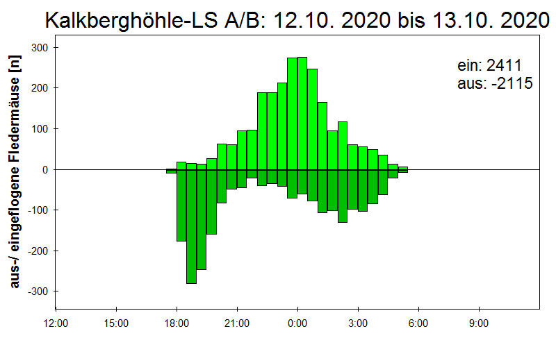 [Fledermaus] Lichtschranke: Segeberger Kalkberg (NABU Schleswig-Holstein)