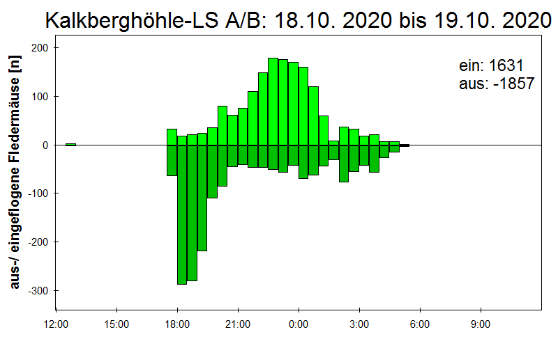 [Fledermaus] Lichtschranke: Segeberger Kalkberg (NABU Schleswig-Holstein)