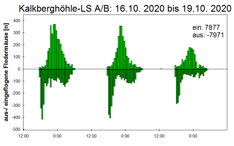 [Fledermaus] Lichtschranke: Segeberger Kalkberg (NABU Schleswig-Holstein)
