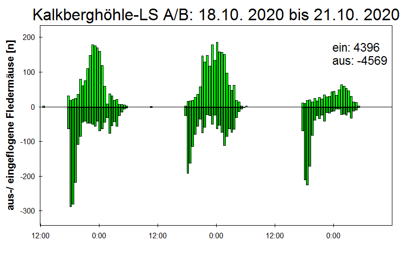 [Fledermaus] Lichtschranke: Segeberger Kalkberg (NABU Schleswig-Holstein)