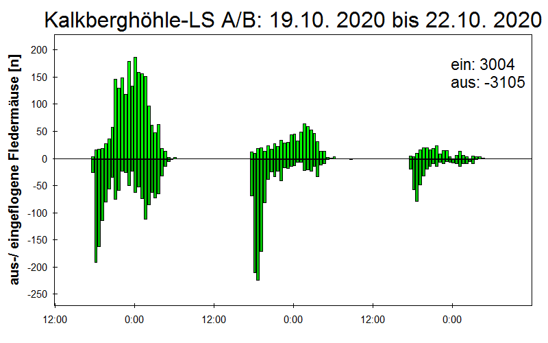 [Fledermaus] Lichtschranke: Segeberger Kalkberg (NABU Schleswig-Holstein)