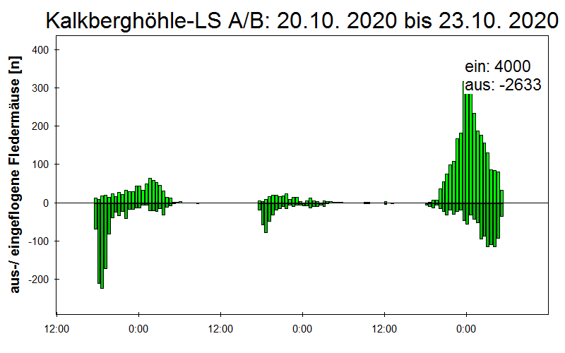 [Fledermaus] Lichtschranke: Segeberger Kalkberg (NABU Schleswig-Holstein)