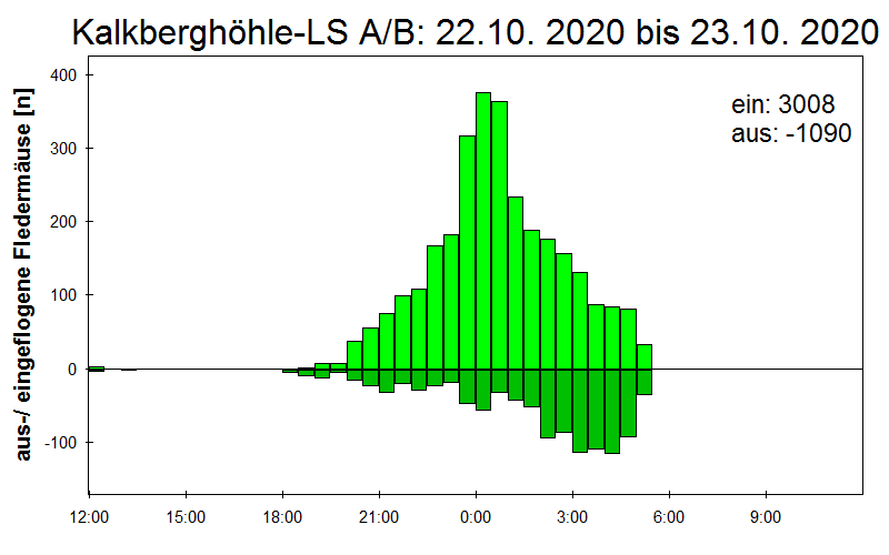 [Fledermaus] Lichtschranke: Segeberger Kalkberg (NABU Schleswig-Holstein)