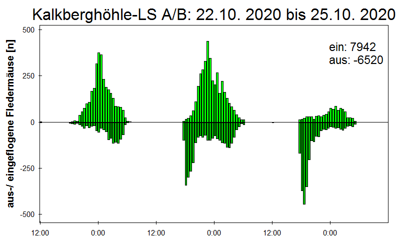 [Fledermaus] Lichtschranke: Segeberger Kalkberg (NABU Schleswig-Holstein)