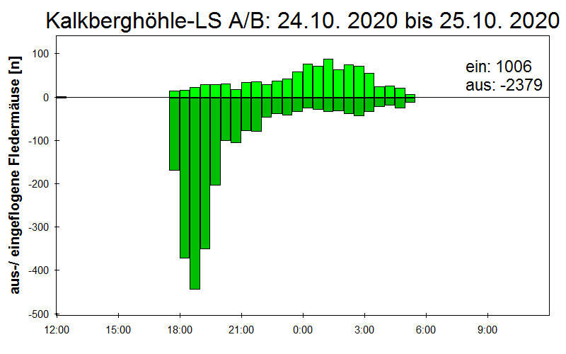 [Fledermaus] Lichtschranke: Segeberger Kalkberg (NABU Schleswig-Holstein)