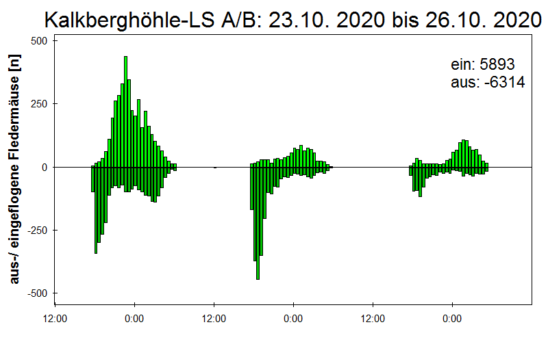 [Fledermaus] Lichtschranke: Segeberger Kalkberg (NABU Schleswig-Holstein)