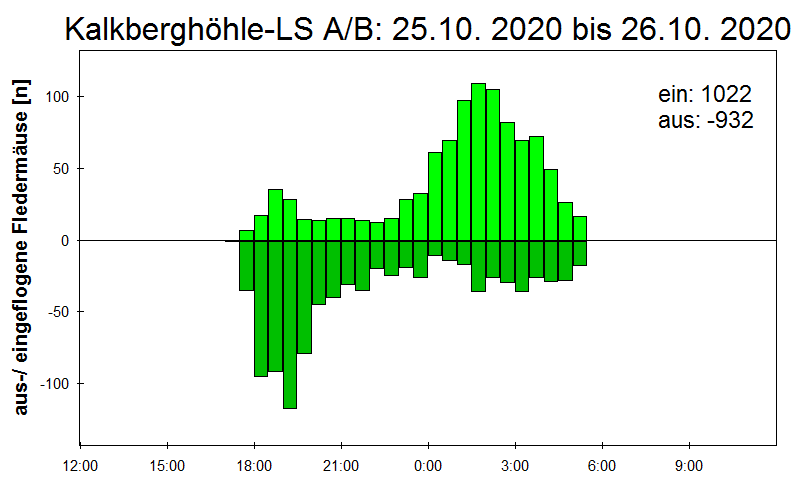 [Fledermaus] Lichtschranke: Segeberger Kalkberg (NABU Schleswig-Holstein)