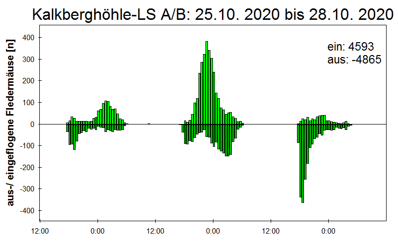 [Fledermaus] Lichtschranke: Segeberger Kalkberg (NABU Schleswig-Holstein)