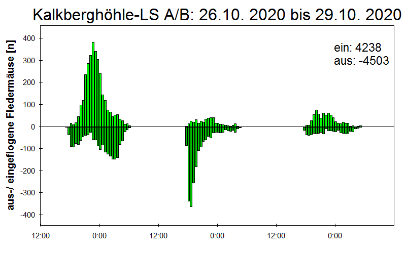 [Fledermaus] Lichtschranke: Segeberger Kalkberg (NABU Schleswig-Holstein)