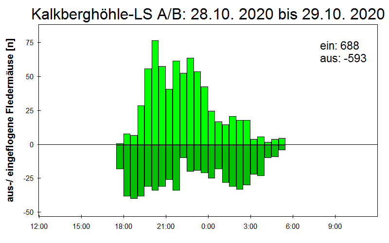 [Fledermaus] Lichtschranke: Segeberger Kalkberg (NABU Schleswig-Holstein)