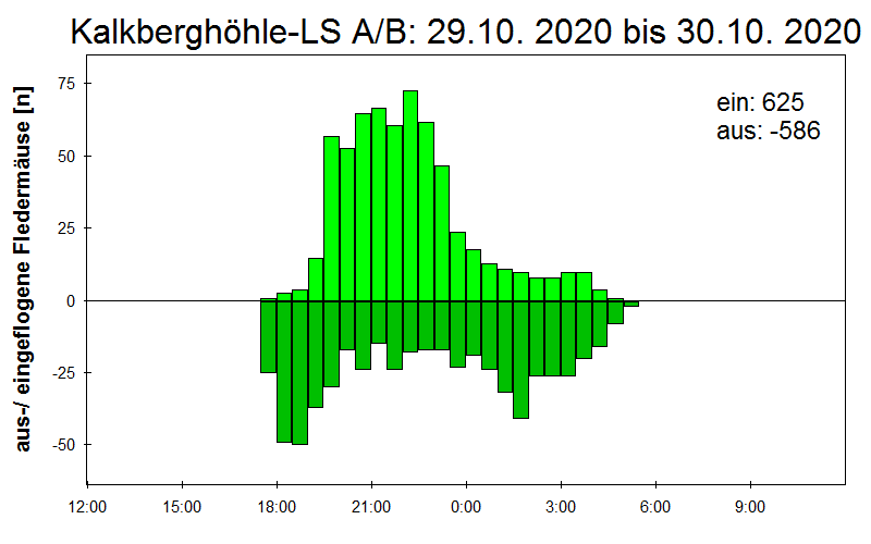 [Fledermaus] Lichtschranke: Segeberger Kalkberg (NABU Schleswig-Holstein)