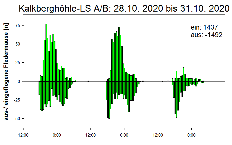 [Fledermaus] Lichtschranke: Segeberger Kalkberg (NABU Schleswig-Holstein)