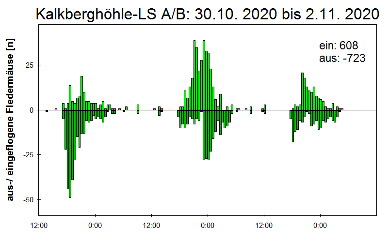 [Fledermaus] Lichtschranke: Segeberger Kalkberg (NABU Schleswig-Holstein)