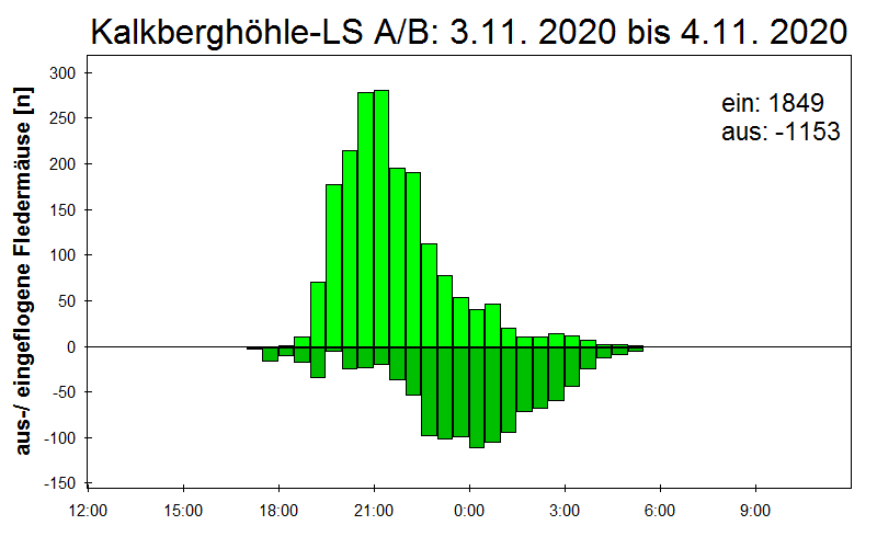 [Fledermaus] Lichtschranke: Segeberger Kalkberg (NABU Schleswig-Holstein)