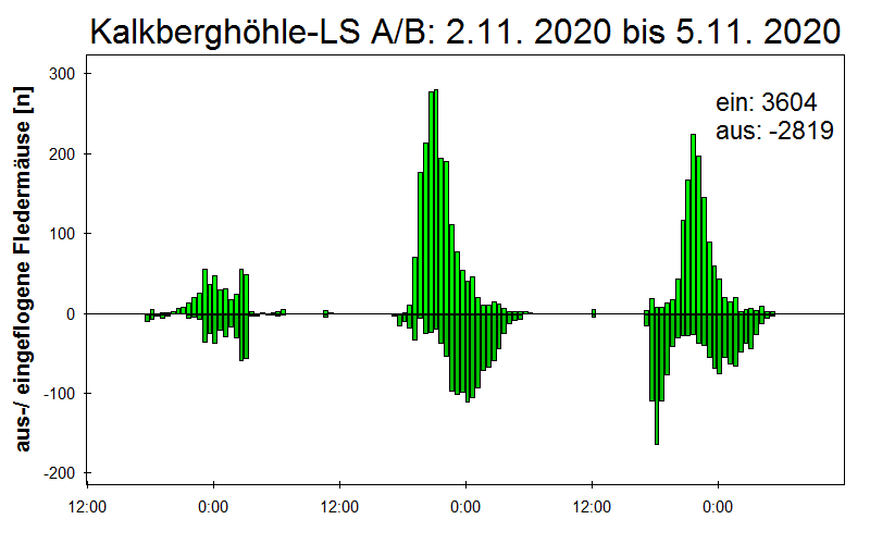 [Fledermaus] Lichtschranke: Segeberger Kalkberg (NABU Schleswig-Holstein)