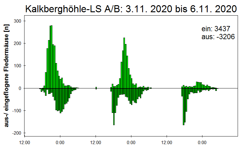 [Fledermaus] Lichtschranke: Segeberger Kalkberg (NABU Schleswig-Holstein)