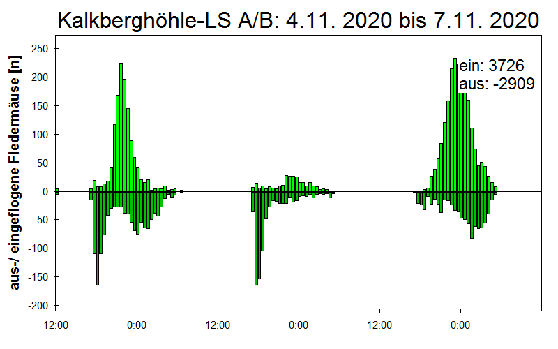 [Fledermaus] Lichtschranke: Segeberger Kalkberg (NABU Schleswig-Holstein)