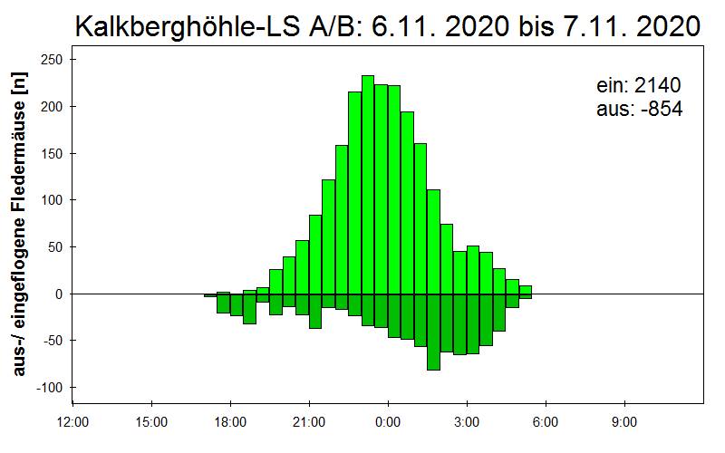 [Fledermaus] Lichtschranke: Segeberger Kalkberg (NABU Schleswig-Holstein)