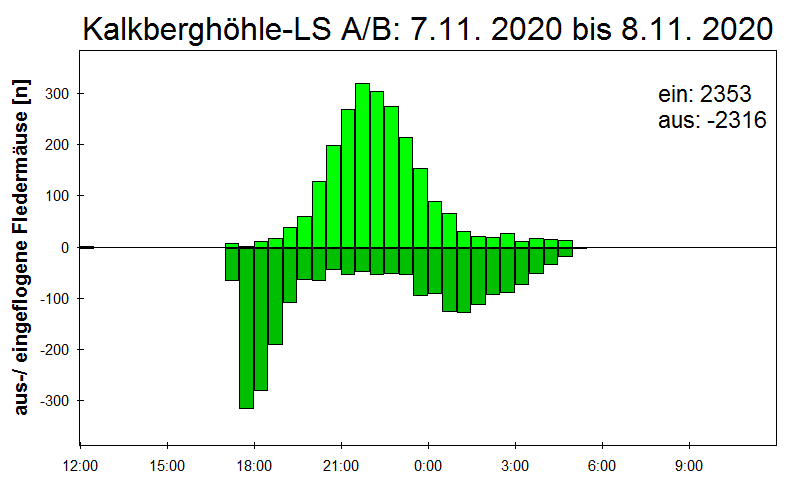 [Fledermaus] Lichtschranke: Segeberger Kalkberg (NABU Schleswig-Holstein)