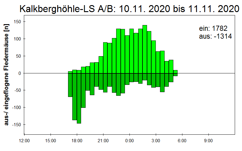 [Fledermaus] Lichtschranke: Segeberger Kalkberg (NABU Schleswig-Holstein)