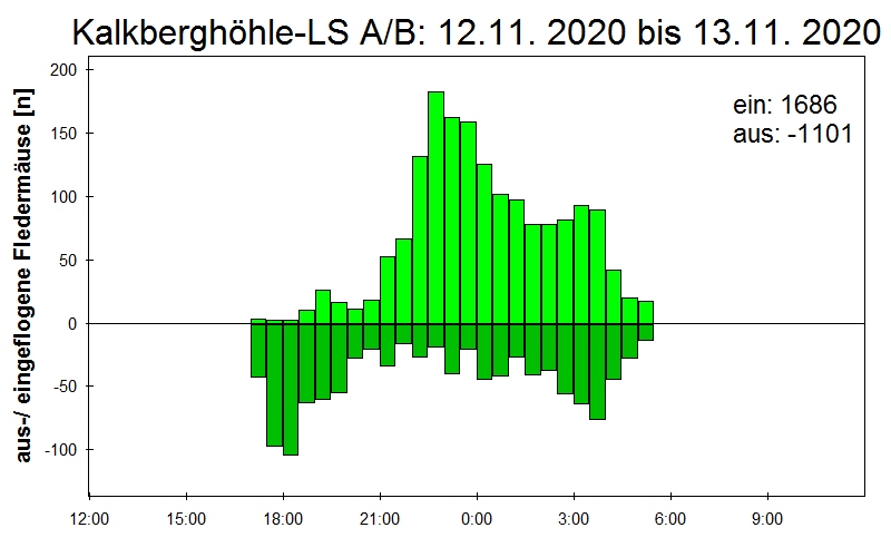 [Fledermaus] Lichtschranke: Segeberger Kalkberg (NABU Schleswig-Holstein)