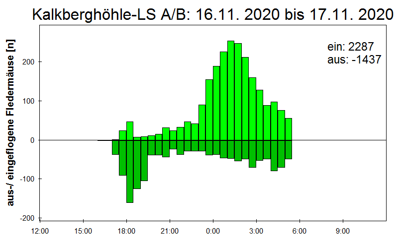 [Fledermaus] Lichtschranke: Segeberger Kalkberg (NABU Schleswig-Holstein)