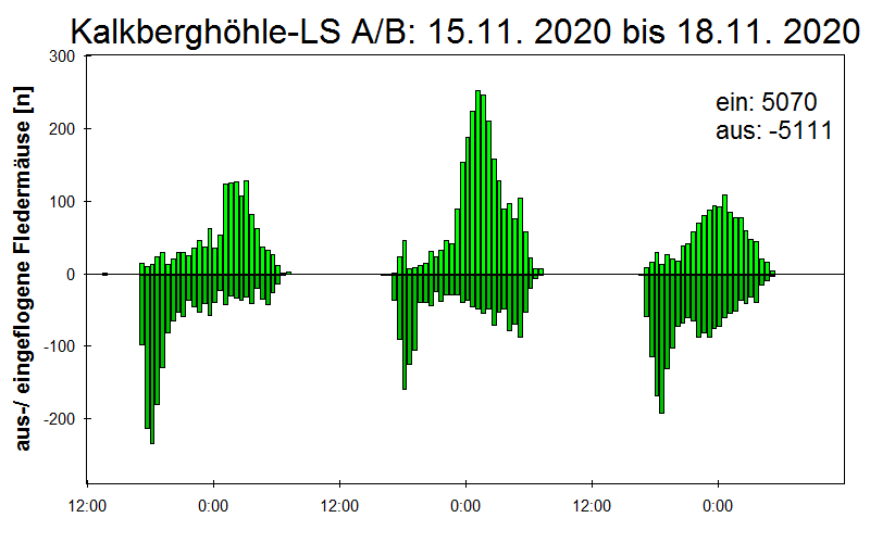 [Fledermaus] Lichtschranke: Segeberger Kalkberg (NABU Schleswig-Holstein)