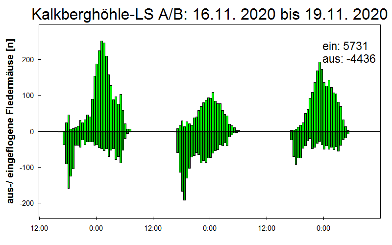 [Fledermaus] Lichtschranke: Segeberger Kalkberg (NABU Schleswig-Holstein)