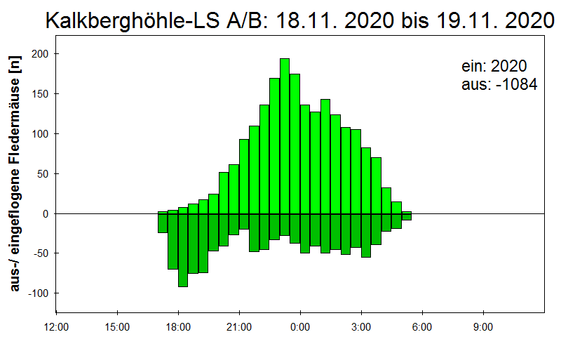 [Fledermaus] Lichtschranke: Segeberger Kalkberg (NABU Schleswig-Holstein)