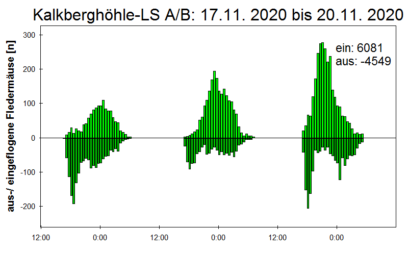 [Fledermaus] Lichtschranke: Segeberger Kalkberg (NABU Schleswig-Holstein)