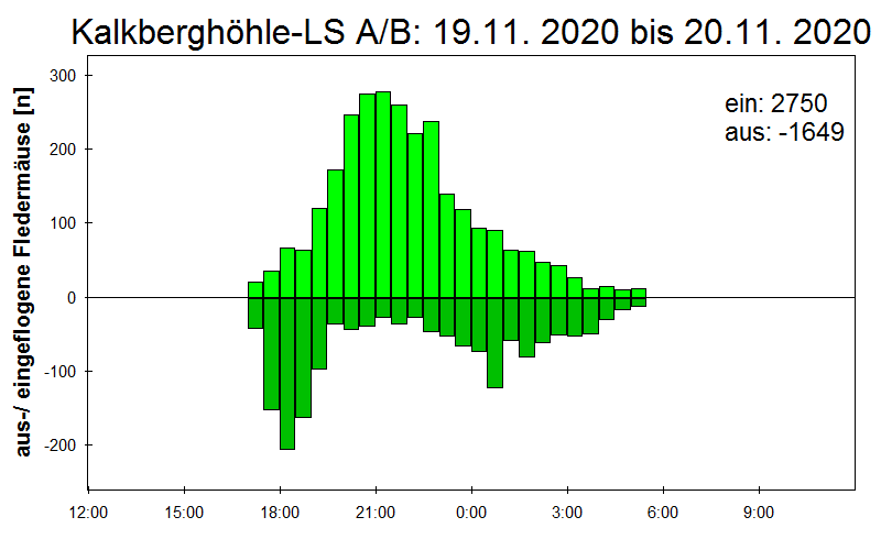 [Fledermaus] Lichtschranke: Segeberger Kalkberg (NABU Schleswig-Holstein)