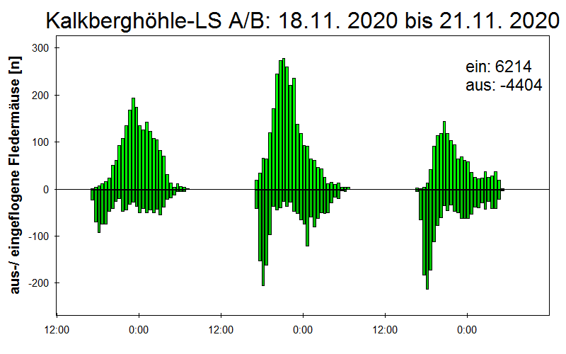[Fledermaus] Lichtschranke: Segeberger Kalkberg (NABU Schleswig-Holstein)