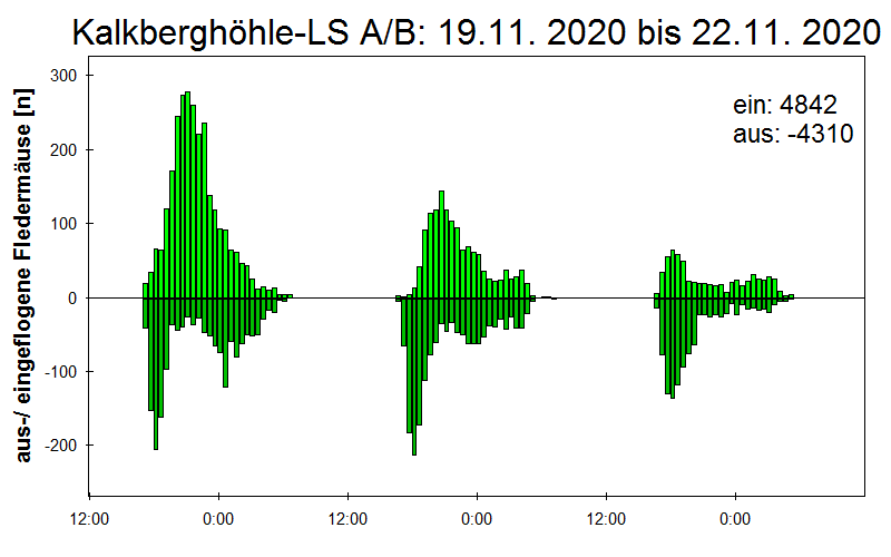 [Fledermaus] Lichtschranke: Segeberger Kalkberg (NABU Schleswig-Holstein)