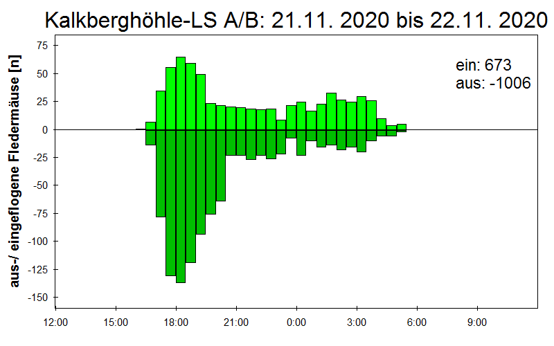 [Fledermaus] Lichtschranke: Segeberger Kalkberg (NABU Schleswig-Holstein)