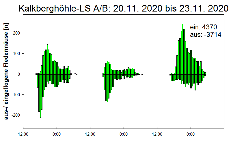 [Fledermaus] Lichtschranke: Segeberger Kalkberg (NABU Schleswig-Holstein)