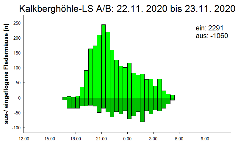 [Fledermaus] Lichtschranke: Segeberger Kalkberg (NABU Schleswig-Holstein)