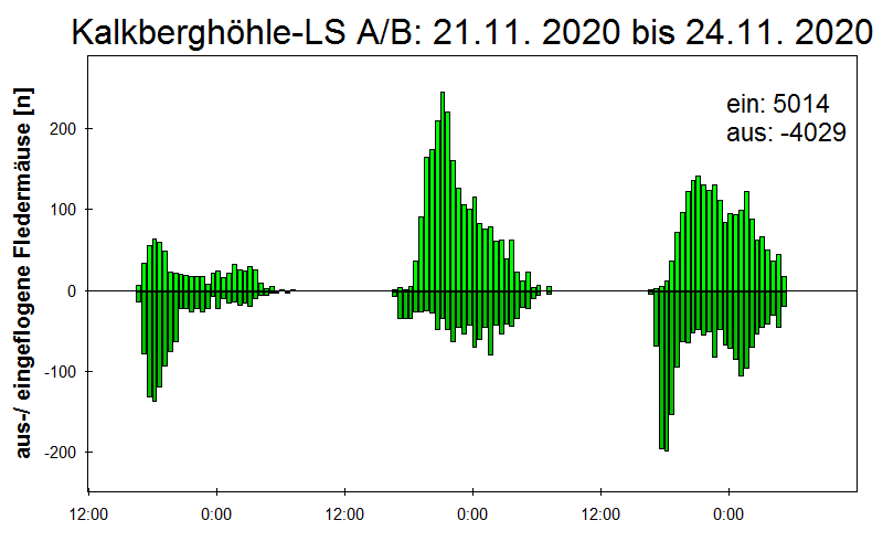 [Fledermaus] Lichtschranke: Segeberger Kalkberg (NABU Schleswig-Holstein)