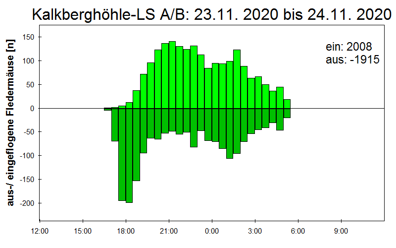 [Fledermaus] Lichtschranke: Segeberger Kalkberg (NABU Schleswig-Holstein)
