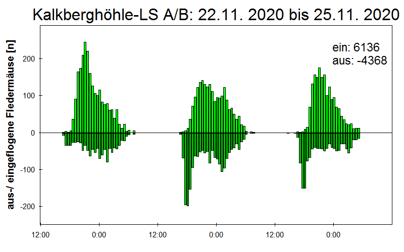 [Fledermaus] Lichtschranke: Segeberger Kalkberg (NABU Schleswig-Holstein)