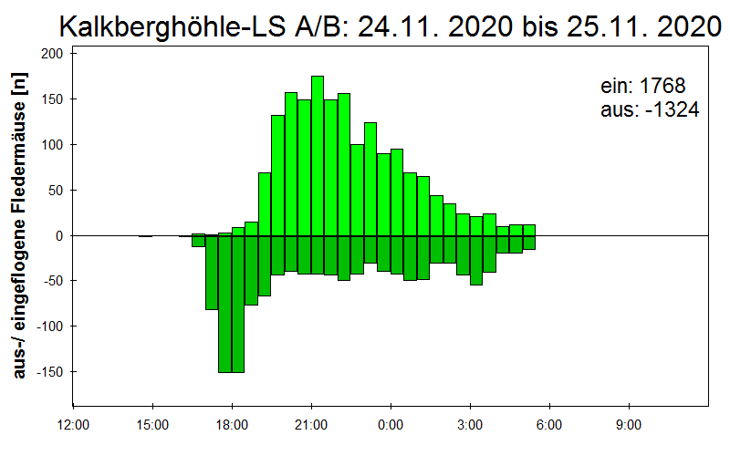 [Fledermaus] Lichtschranke: Segeberger Kalkberg (NABU Schleswig-Holstein)