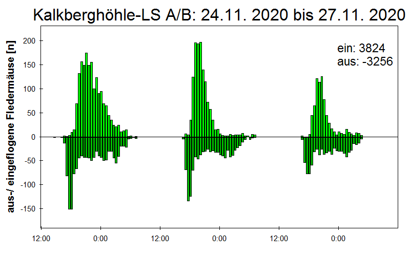 [Fledermaus] Lichtschranke: Segeberger Kalkberg (NABU Schleswig-Holstein)