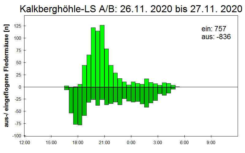 [Fledermaus] Lichtschranke: Segeberger Kalkberg (NABU Schleswig-Holstein)