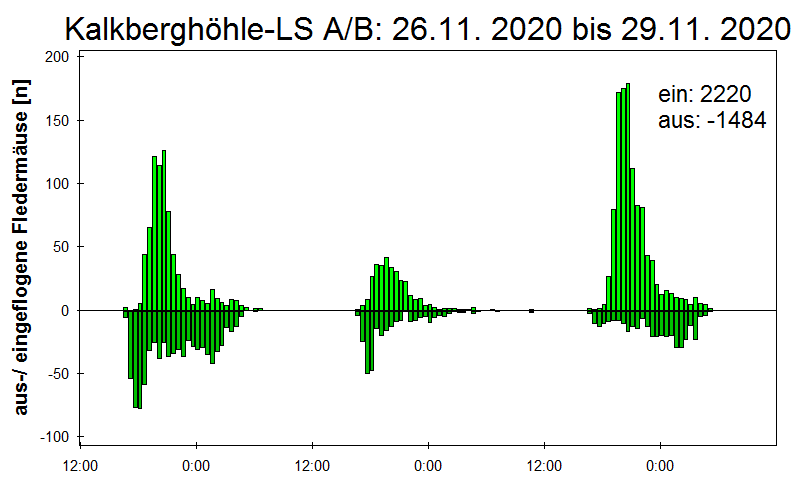 [Fledermaus] Lichtschranke: Segeberger Kalkberg (NABU Schleswig-Holstein)