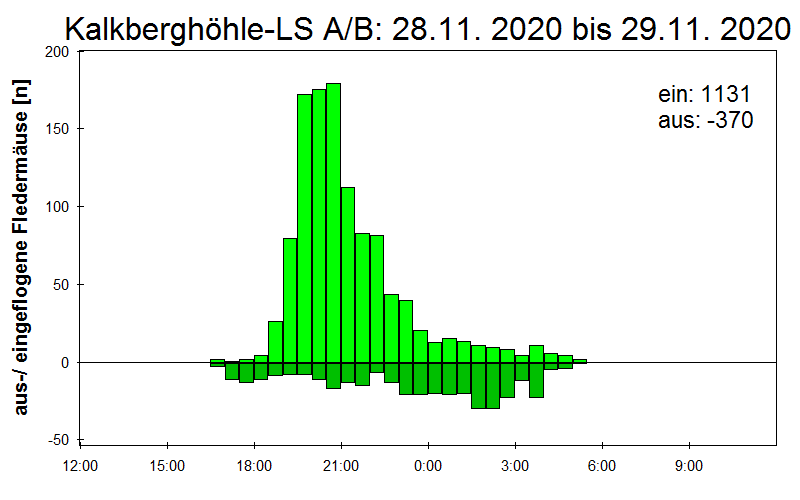 [Fledermaus] Lichtschranke: Segeberger Kalkberg (NABU Schleswig-Holstein)